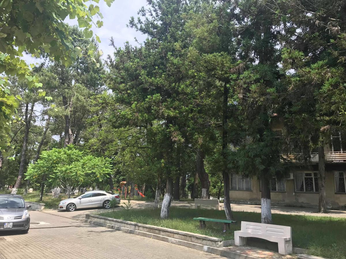 Anna Hostel Kobuleti Exteriér fotografie