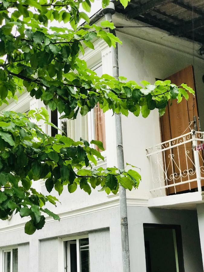 Anna Hostel Kobuleti Exteriér fotografie
